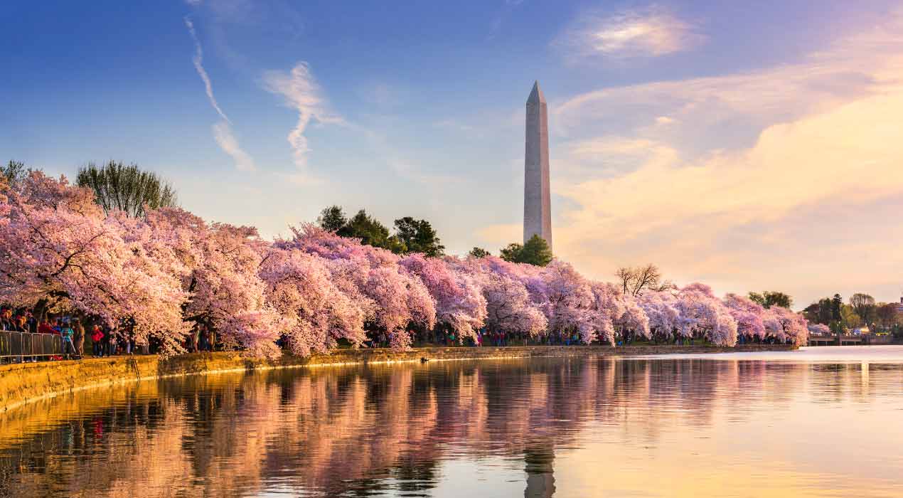 Summer - Value Eastern Delight with Orlando Miami and Bahamas Cruise 12 Days Tour Package