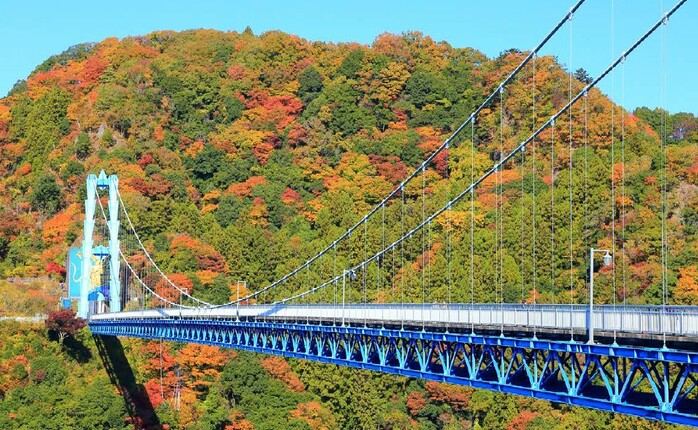 Winter Japan Autumn Special 9 Days Tour Package