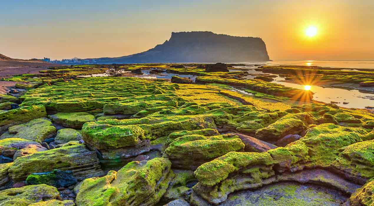 Winter - Grand Tour Of Japan With Splendid Korea 15 Days Tour Package