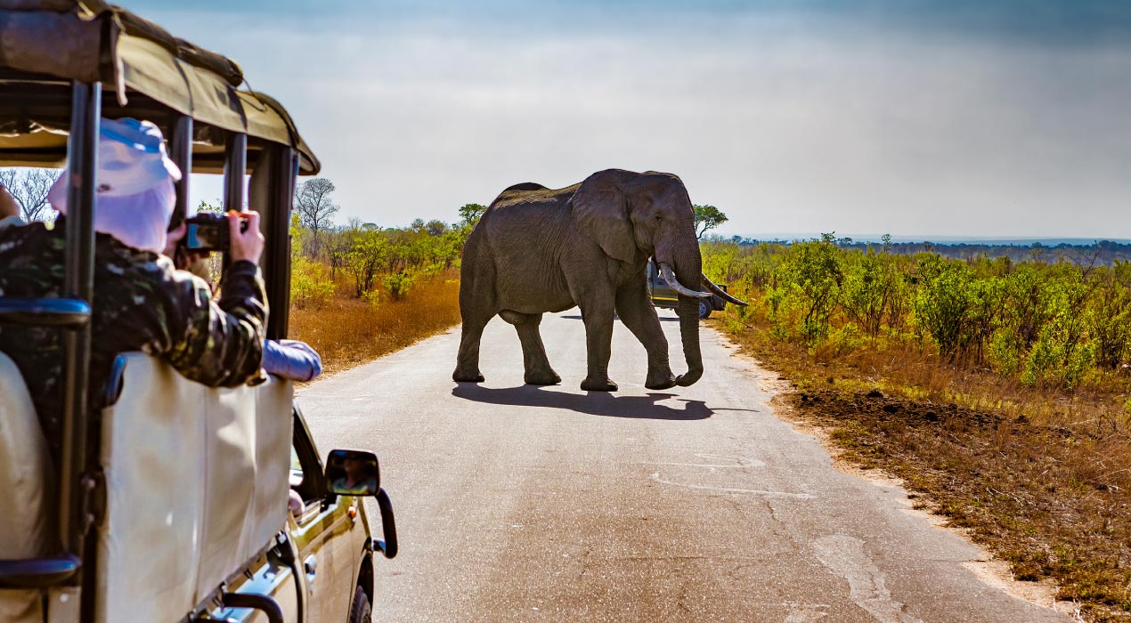 Grand Tour of South Africa with Kruger – New Year in Johannesburg - 23 Dec 2026 10 Days Tour Package