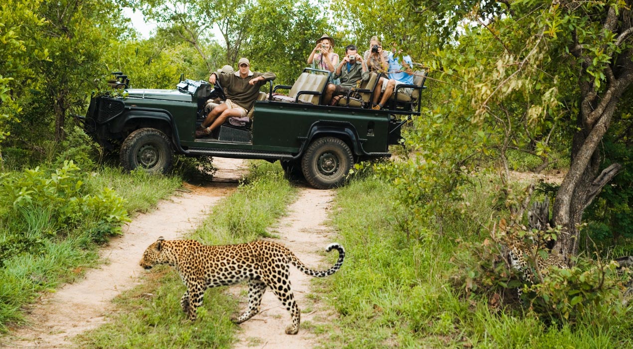 Grand Tour of South Africa with Kruger - Chef Special 10 Days Tour Package