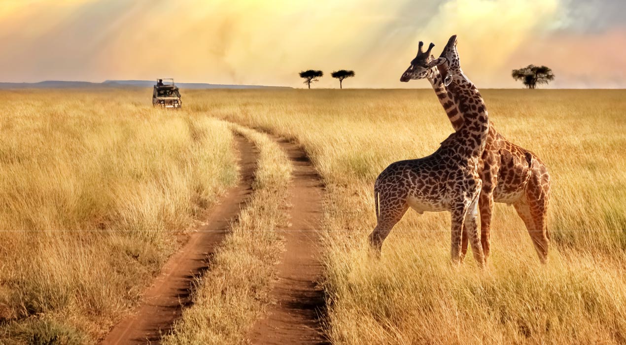 Grand Tour of South Africa With add on Kenya 13 Days Tour Package
