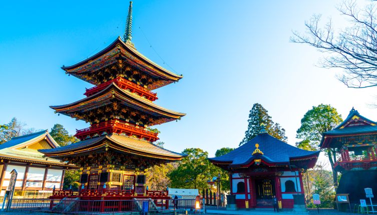 Summer - Grand Tour of Japan 8 Days Tour Package