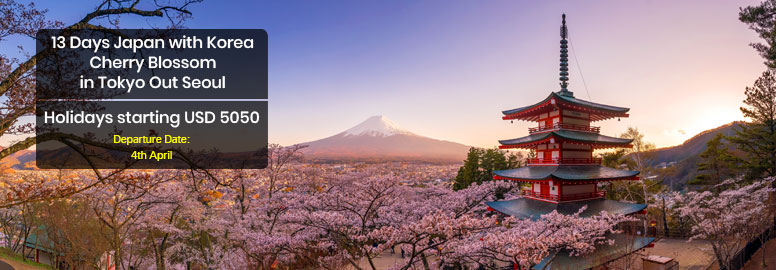 Japan-with-Korea-Cherry-Blossom-in-Tokyo-Out-Seoul