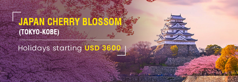 Japan-Cherry-Blossom-Home-Slider-776x270